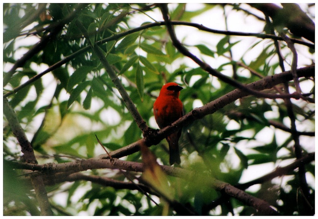 02 - Le Jardin D'Eden (4).jpg